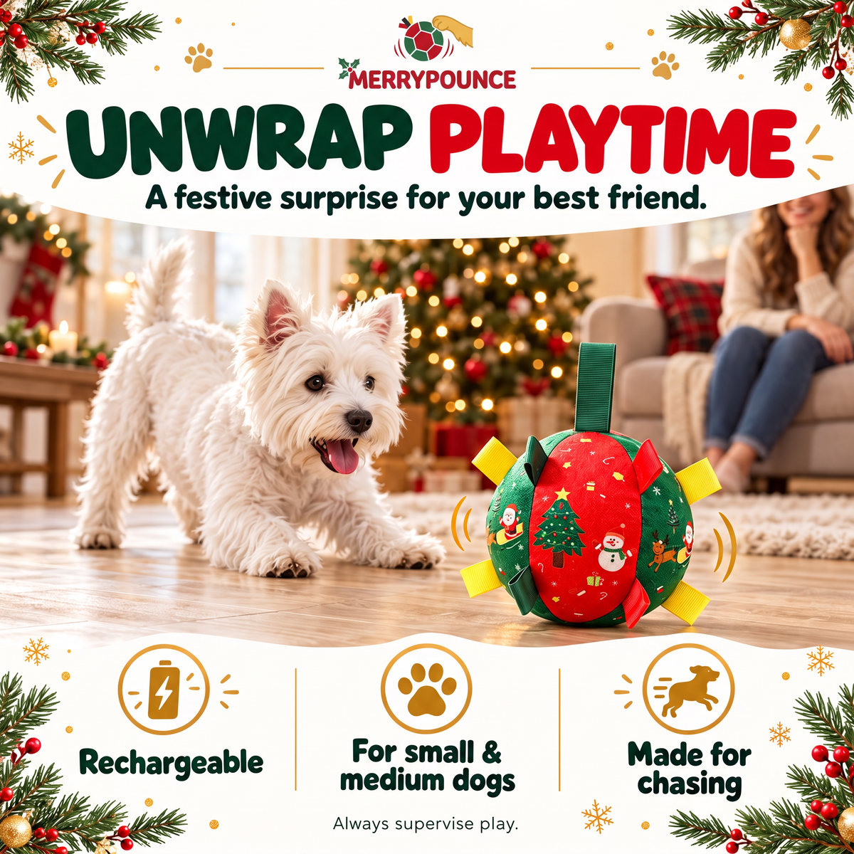 Interactive Pet Toy Ball