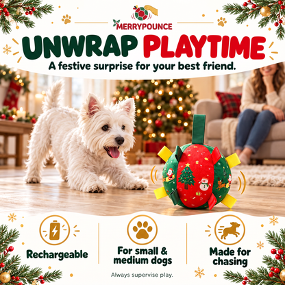 Interactive Pet Toy Ball